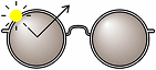 Polarised lenses