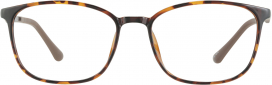 Rae in Rosewood Tortoise