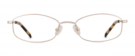 Aerin optical frame in the colour Silver displayed in front view.