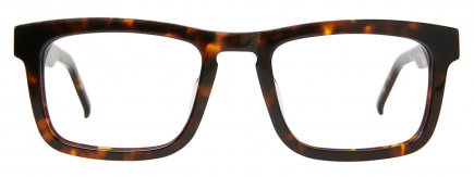 Benny optical glasses frame in the colour Buttersctoch Tortoise displayed in front angle view.