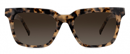 Serge sunglasses frame in the colour Chocolate Chip displayed in front view.