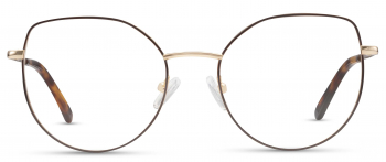 Aleks optical frame in the colour Expresso displayed in front view.