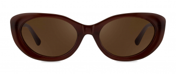 Ash sunglasses frame in the colour Cioccolato displayed in front view.