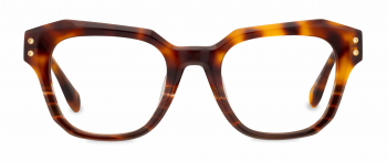 Gina optical frame in the colour Tiger Jasper displayed in front view.