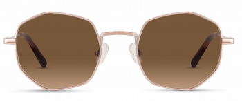Kane sunglasses frame in the colour Rose Gold displayed in front angle view.
