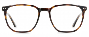 Parker Large optical frame in the colour Palm Tortoise displayed in front view.