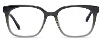 Wilder optical frame in the colour Eclipse displayed in front angle view.