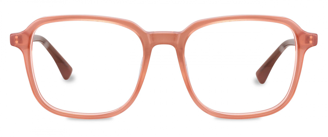 トップス L'ECHOPPE LE OVERDYE SH COMOLI AURALEE トップス L'ECHOPPE LE OVERDYE SH COMOLI AURALEE トップス L'ECHOPPE