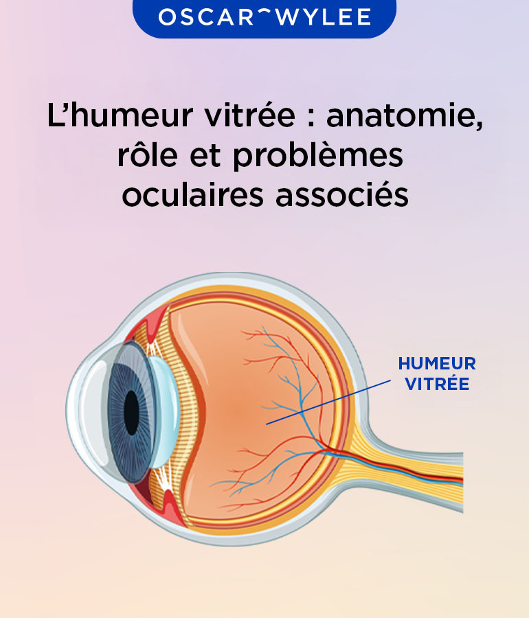  L’humeur vitrée.