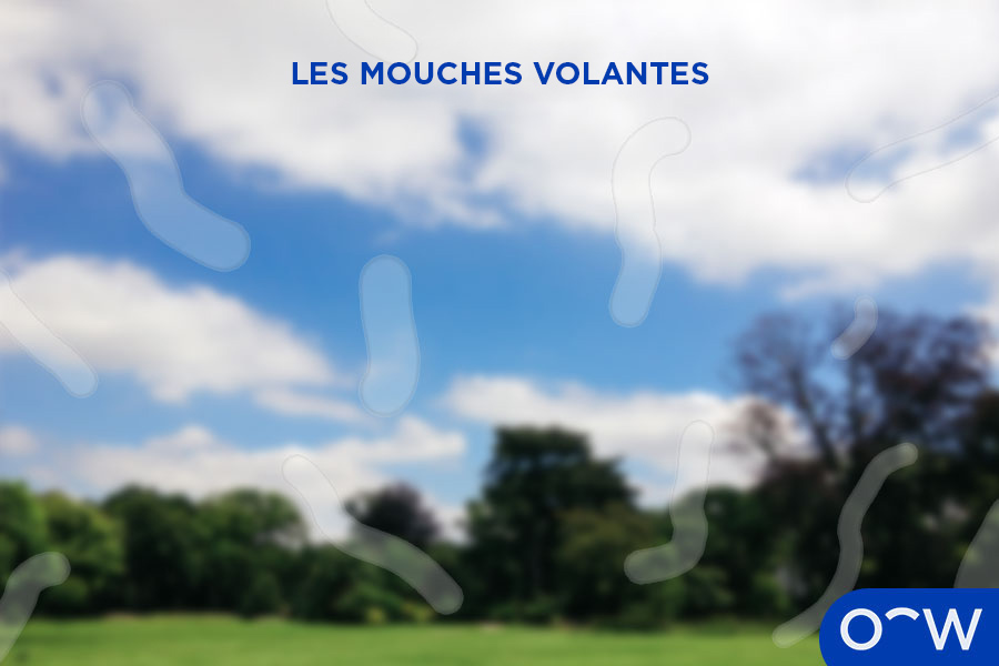 La vision d'une personne perturbée par les mouches volantes.