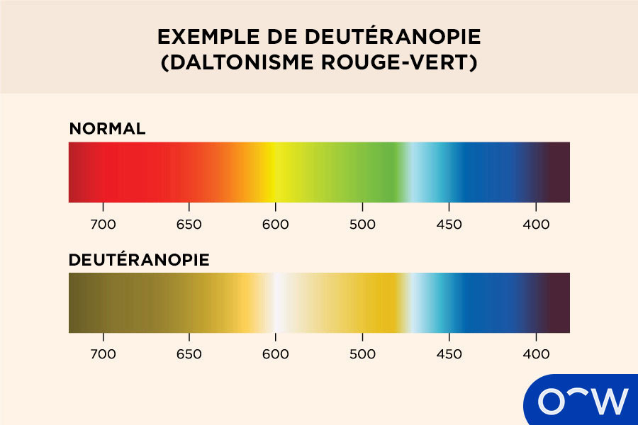 Un exemple de deutéranopie (daltonisme rouge-vert)