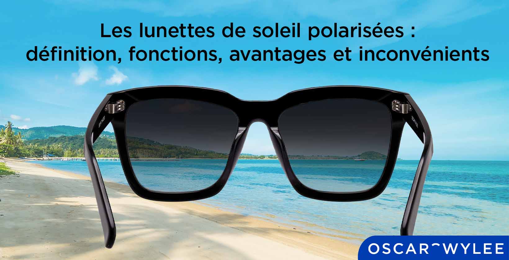 Les verres polarisés (Révision)