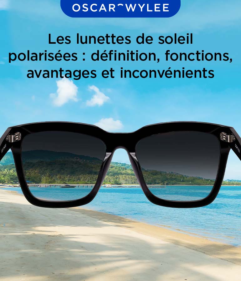 Les verres polarisés (Révision)