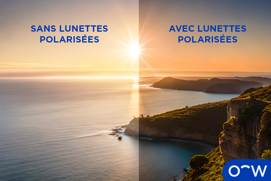 Des images montrant deux points de vue : une montrant le champ visuel d’une personne sans lunettes de soleil polarisées, et l’autre souffrant de moins d’éblouissement.