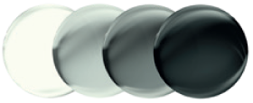 GRIS