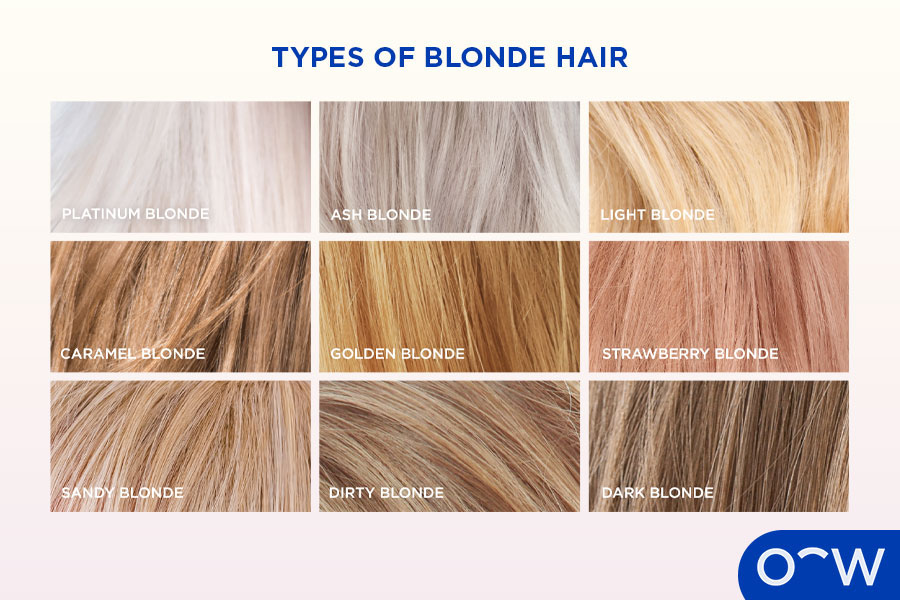 A chart showing the different shades of blonde hair
