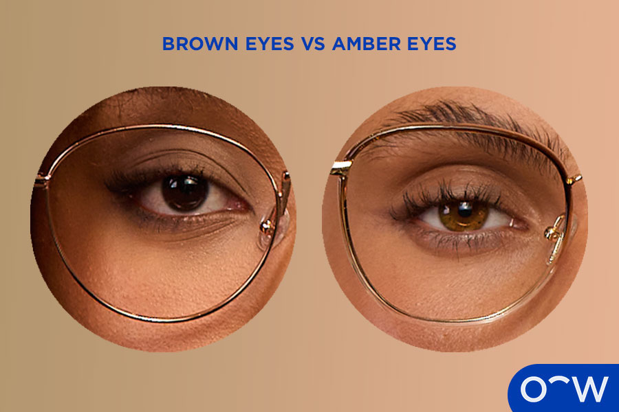 A close-up of a brown and amber eye.