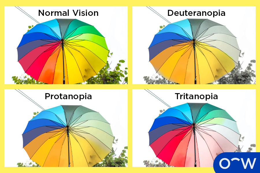 An image showing normal vision, versus vision with colour blindness.