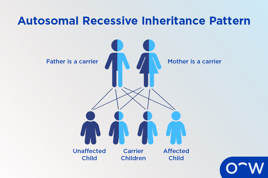 Graphic image of coloured figures and lines indicating genetic links of retinitis pigmentosa