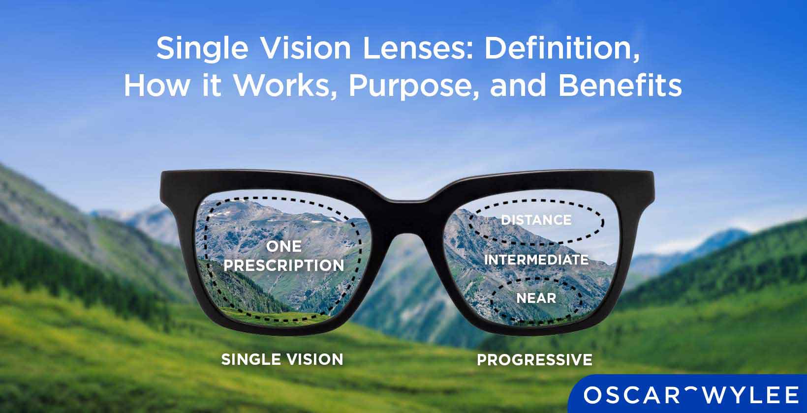 Single Vision Lenses