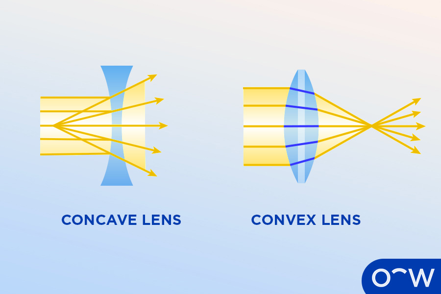 A comparison between a concave lens and a convex lens demonstrating how light travels through the lenses