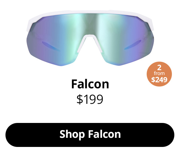 Falcon in Beetle Gaze from $199