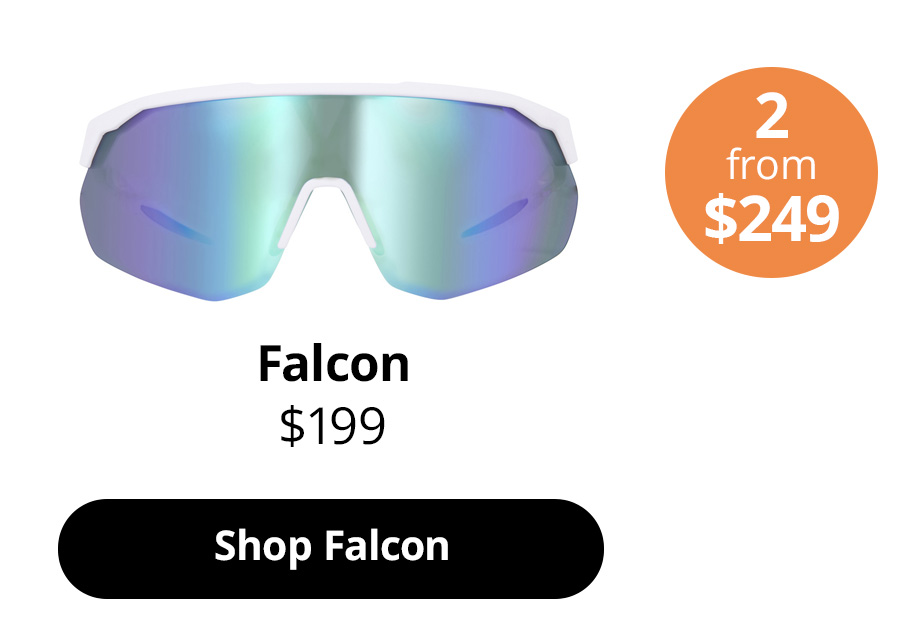 Falcon in Beetle Gaze from $199