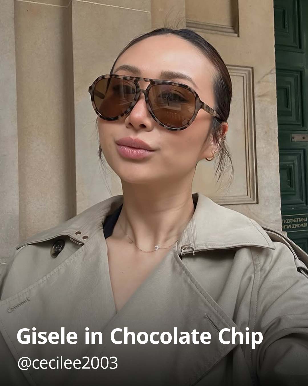 Oscar Wylee @cecilee2003 in Gisele in Chocolate Chip.